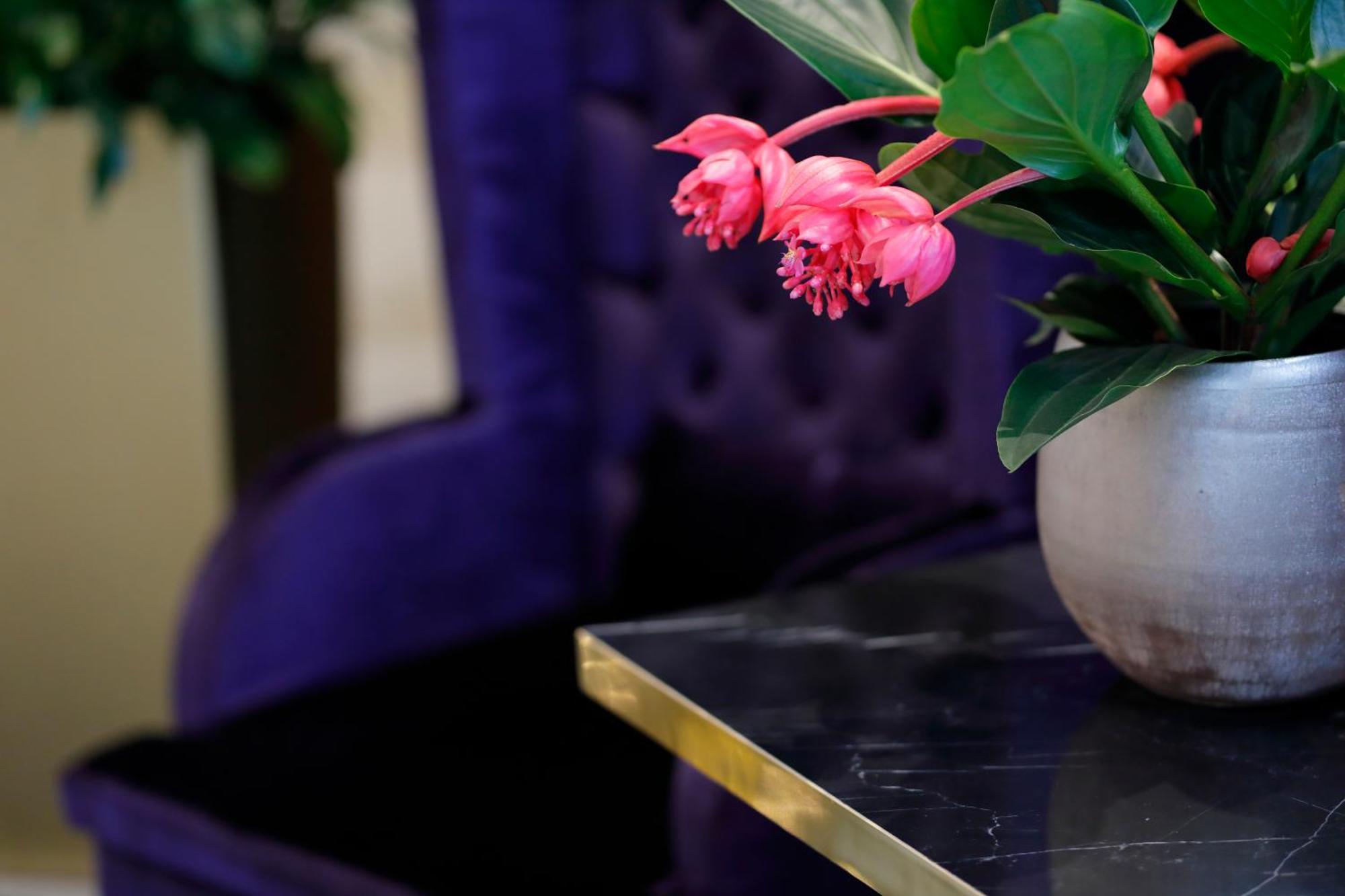 The Sydney Hotel Bologna Ngoại thất bức ảnh